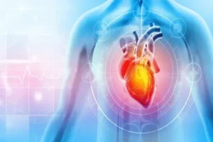 B7-33 Peptide Benefits for Cardioprotection