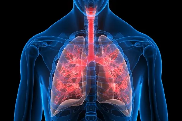 Can B7-33 Reduce Fibrosis