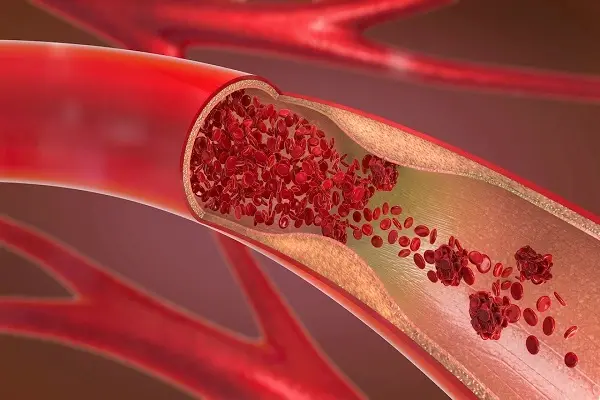 How Do Peptides Promote Blood Vessel Growth