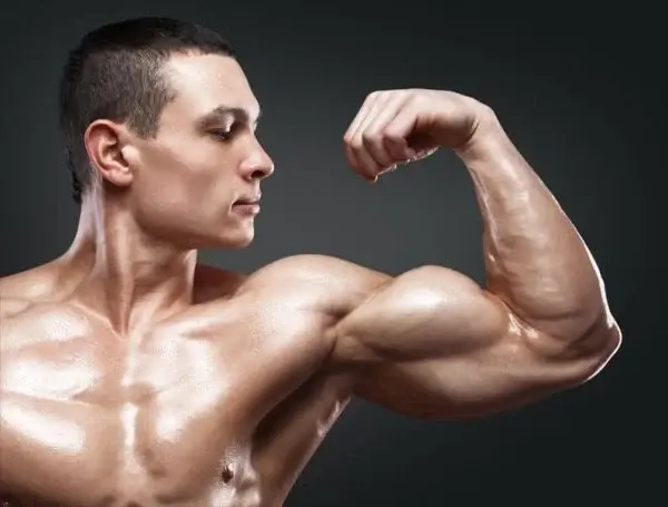 Myostatin Peptide for Muscle Growth