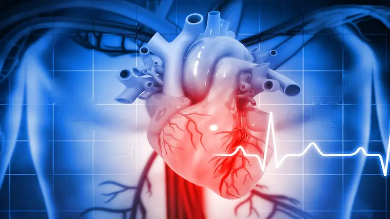 Which Peptide Shows Fewer Cardiovascular Risks