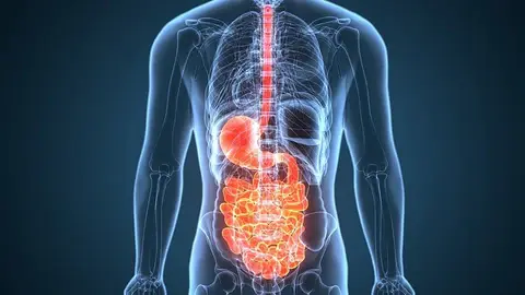 Gut Health