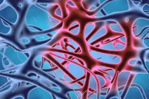 Anti-Inflammatory Peptide