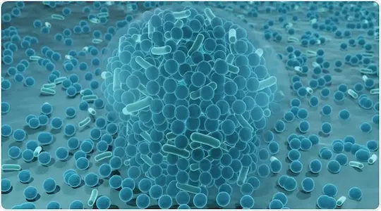 Healing Peptides Break Through Biofilm