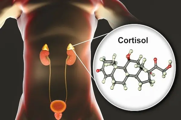 Can GHRP-2 Raise Cortisol Levels