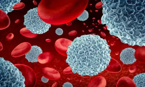Anti Cancer Cells