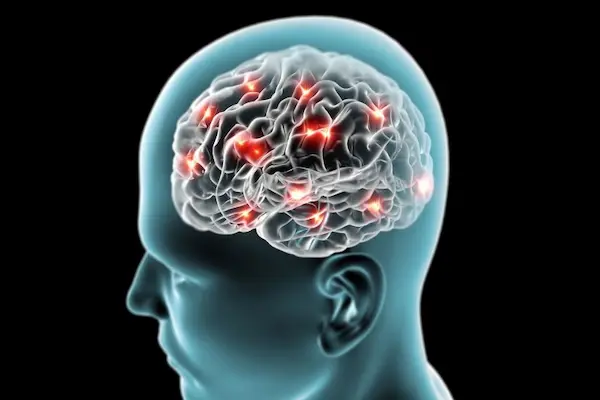 Cognitive Peptides