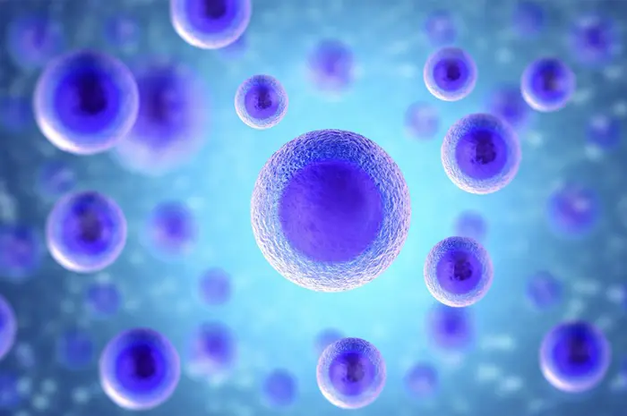 Glutathione in Aging Cells