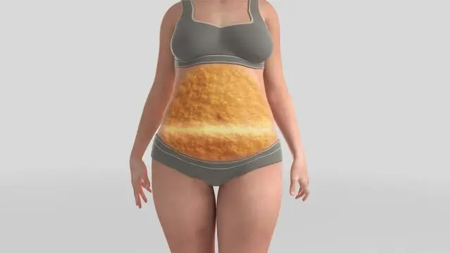 Medical illustration of a body with highlighted abdominal fat tissue, used to represent how HGH Fragment targets adipose tissue and supports fat metabolism through lipolytic pathways.