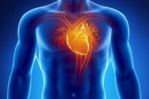 Hexarelin Peptide Support Heart Health