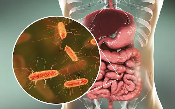 KPV Peptide Reduce Inflammation
