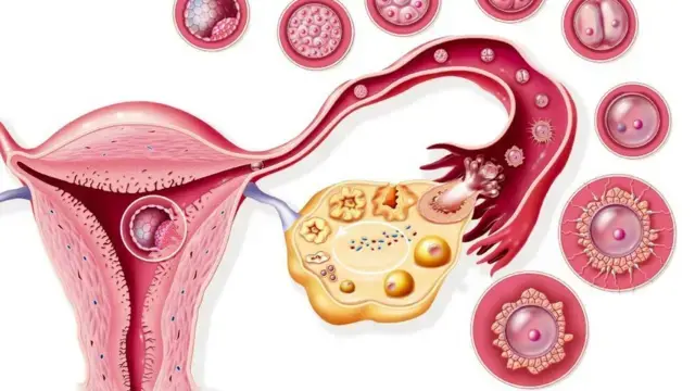 Menopause Symptoms