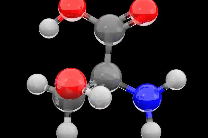 Most Important Amino Acids for Muscle Building