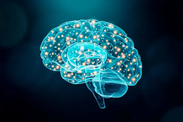 P-21 Peptide Support Memory and Cognition
