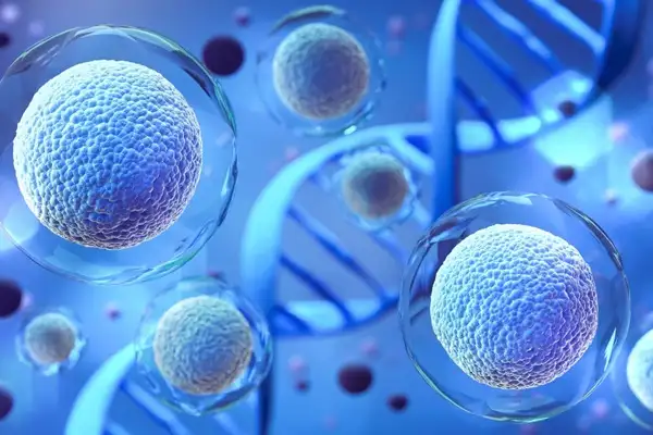 Can GHK-Cu Peptide Activate Stem Cells