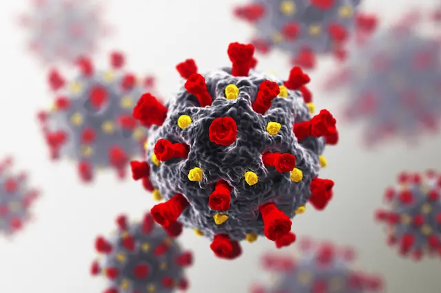 Visualization of a virus linked to cytokine storms, highlighting how anti-inflammatory peptides may help regulate inflammation.