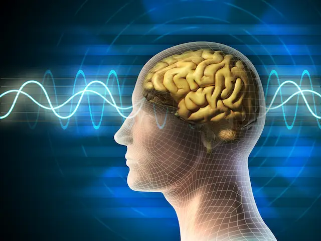 Selank Peptides Support Memory and Focus