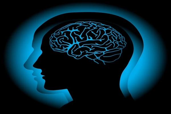 Best Nootropic Peptides For Boosting Brain Power