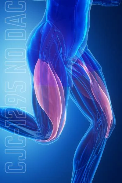 CJC-1295 No DAC FAQs