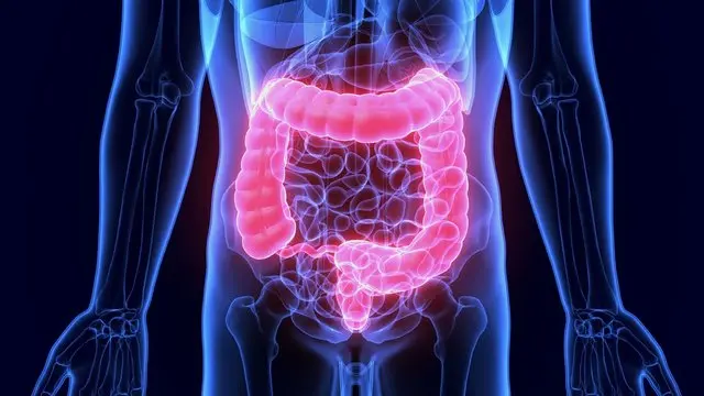 gastrointestinal motility