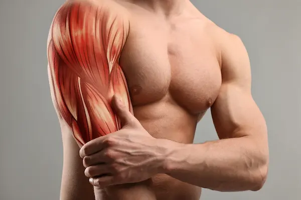 PEG-MGF Accelerate Muscle Repair and Recovery