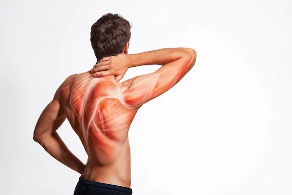 Pegylation Matter for Muscle Repair Peptides