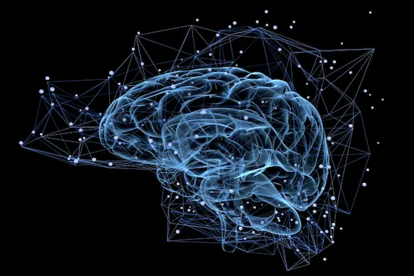 Artistic illustration of a brain and neural pathways, symbolizing preclinical research into the potential neurobiological effects of the peptide Semax observed in animal studies.