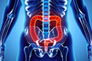 VIP Intestinal Peptide