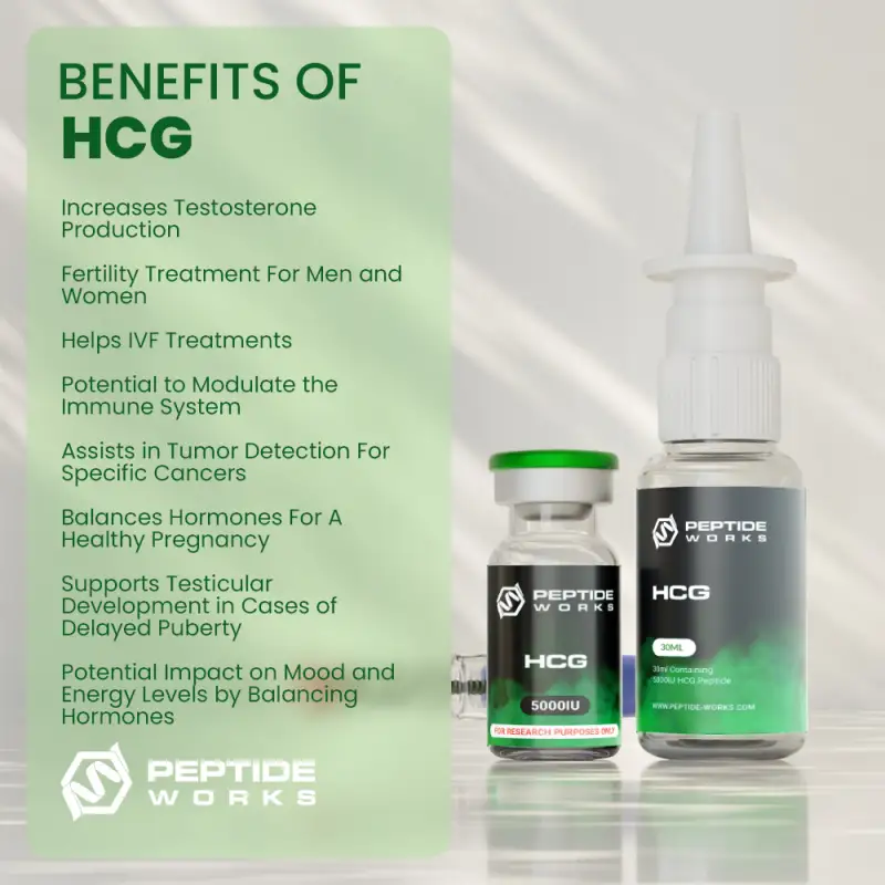 Buy HCG Peptide