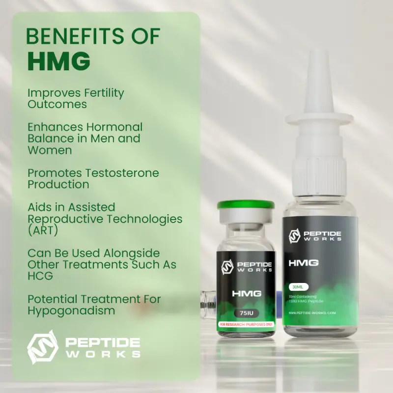 Buy hMG Peptide