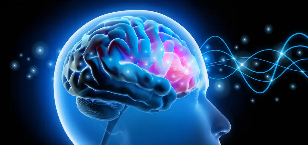 Neural signals linked to orexin addiction therapy.