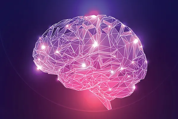 Pinealon Peptide Relevant to Brain Cell Longevity