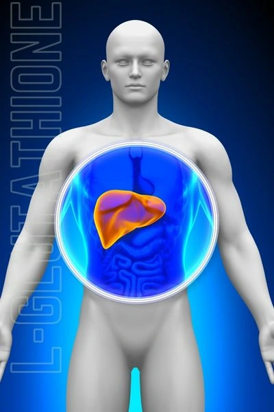 L Glutathione FAQs