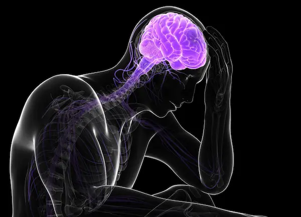 Conceptual illustration highlighting the brain and neural pathways, representing gene-level regulation, epigenetic control of protein synthesis, MAPK/ERK signaling modulation, and structural neuronal support linked to cognitive resilience.