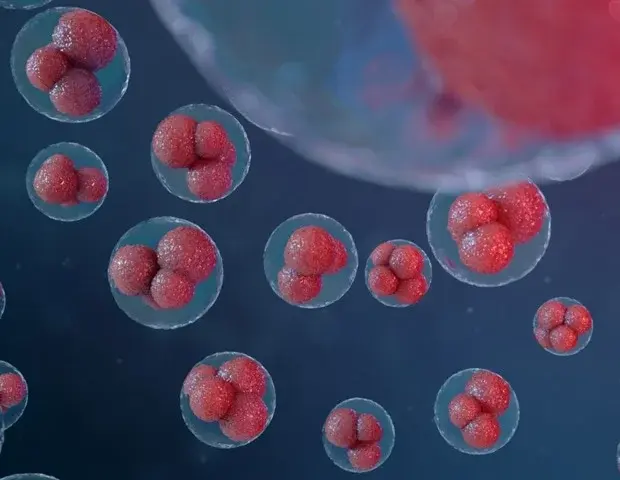 Cells showing chromatin and genetic regulation processes.