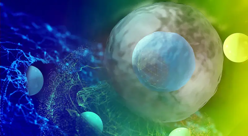 L-Glutathione Peptide in Fighting Oxidative Stress from Peptide Works