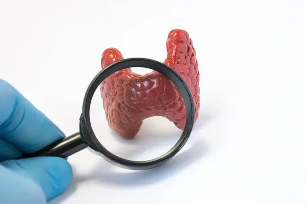 TSH Assays Replaced Protirelin in Thyroid Function Tests at Peptide Works