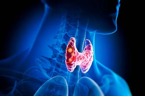 Thyrogen Stimulate Thyroid Signaling Pathways at Peptide Works