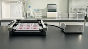 A flexible-bottom six-well culture plate clamped in a compact cell-stretching device on a laboratory bench
